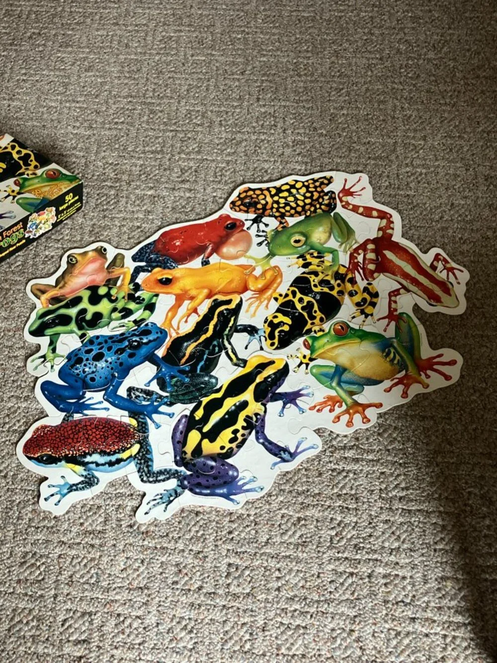 1996 Rainforest Frogs Floor Puzzle 50 Large Pieces 2'x3' Ages 4 and Up, EUC
